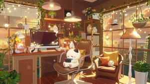 治愈小猫