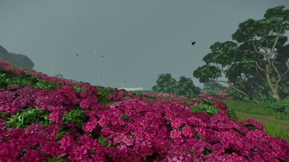 对马岛红色花海伤感风治愈系