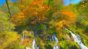 秋天山间红叶溪水