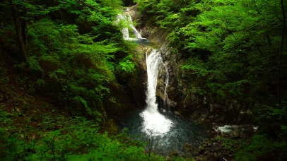 4K新绿森林瀑布