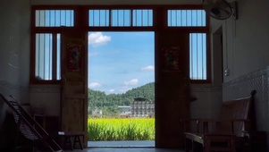 小时候的夏天~