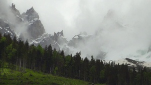 4K森林雪山