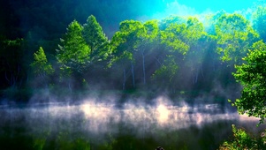 治愈湖面雾气4k