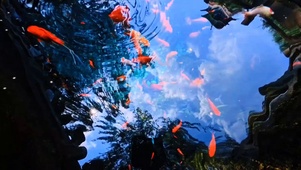 湖光山色