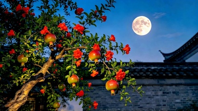 月夜古院石榴树花果同枝