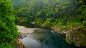 护眼自然山涧河流