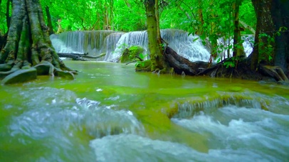 护眼绿林溪流瀑布