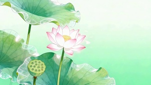 荷塘