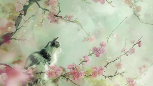 清新治愈花与猫
