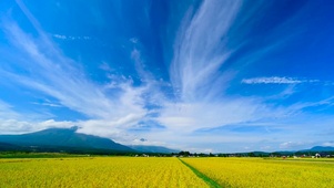 秋天乡村田园