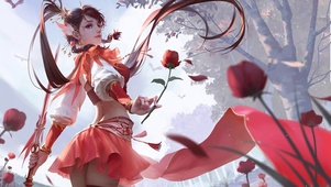 4K玫瑰花丛