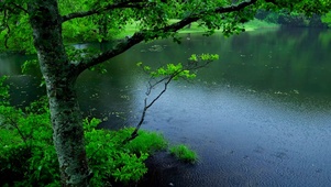 4K雨天绿湖畔