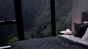 窗外的晨雨