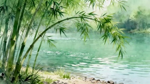 河流边的竹林