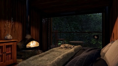 舒适森林雨夜睡觉环境