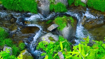 清凉夏日护眼溪流