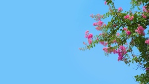 好时光