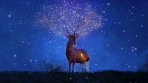 繁星遇鹿