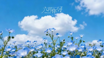 六月你好