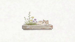 可爱小猫咪