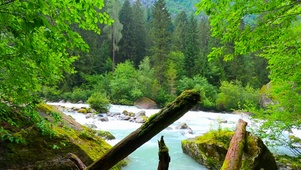 绿林山中河流