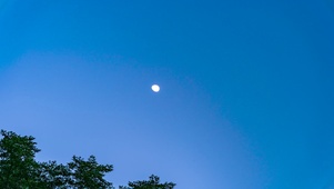 4k夏日风光夜晚月亮