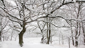 4K 唯美治愈【雪景】