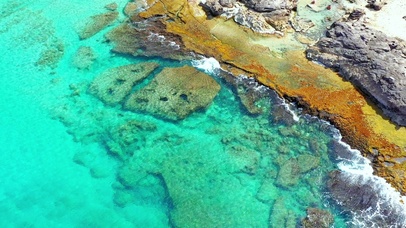 清澈碧绿海岸4K