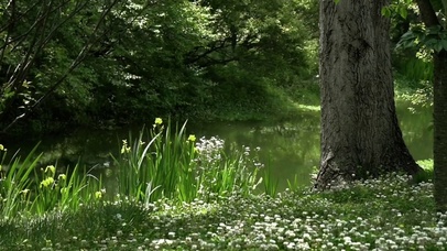 花草树木