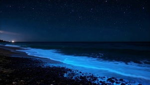梦幻蓝眼泪星空海岸夜景