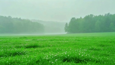 4K护眼治愈雨景