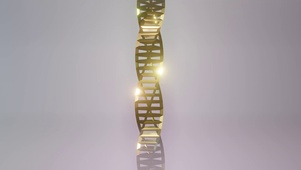 DNA