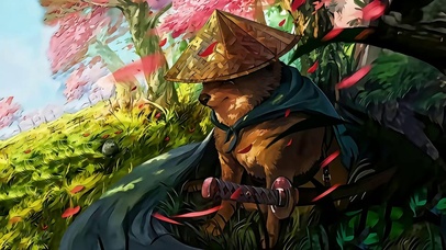 蛋某人我的刀盾