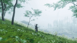 森林中的武士