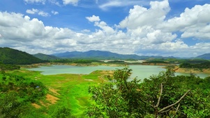 绿色护眼外拍乡村风景
