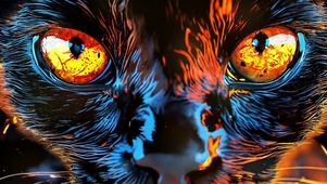 炫酷的猫