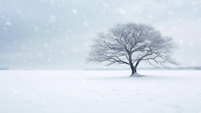 雪中孤树
