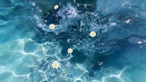 清澈的水面小花朵