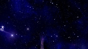 星空树下