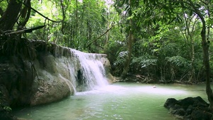 4K 高清 热带雨林瀑布