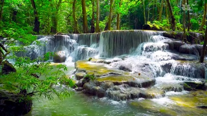 护眼绿林瀑布溪水