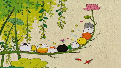 夏日荷叶上猫咪