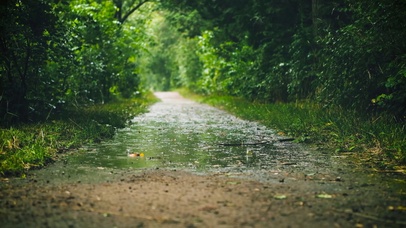 林间小路