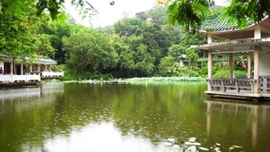 园林庭院