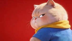 可爱猫咪