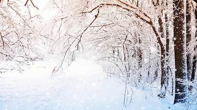 4K 唯美治愈【雪】