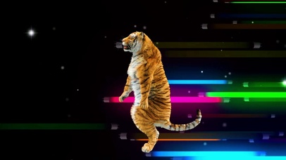 4K超清社会虎哥~