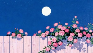 月夜 蔷薇