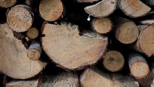 解压壁纸·原木