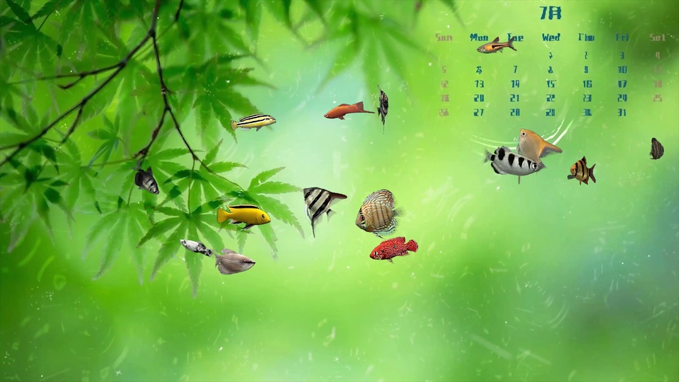 3D水下场景，多尾花色各异的观赏鱼在水中游弋，上方悬垂着绿色枫树枝叶，色调清新明快。